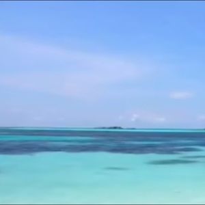 Meet your Posher, Jaylee